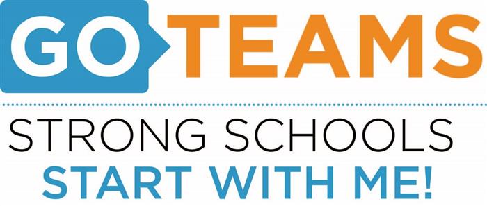 Go Team Logo 
